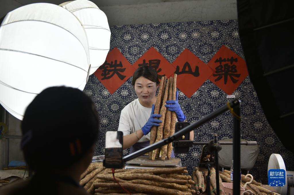 mg赌场体育官网
